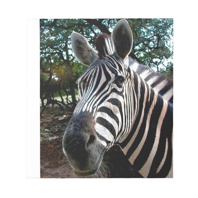 Mein trepper Freund Notizblock (Vorderseite)