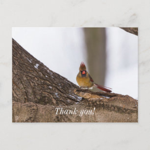 Mein Troll macht Postkarte