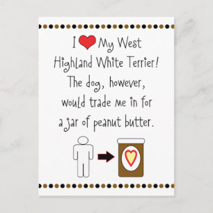 Mein West Highland White Terrier Lieben Erdnussbut Postkarte