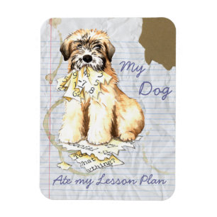 Mein "Wheaten Ate My Lessingplan" Magnet