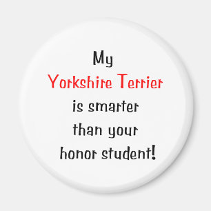 Mein Yorkshire Terrier ist… intelligenter Magnet
