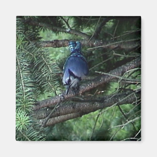 mein Zeug3 013 Magnet