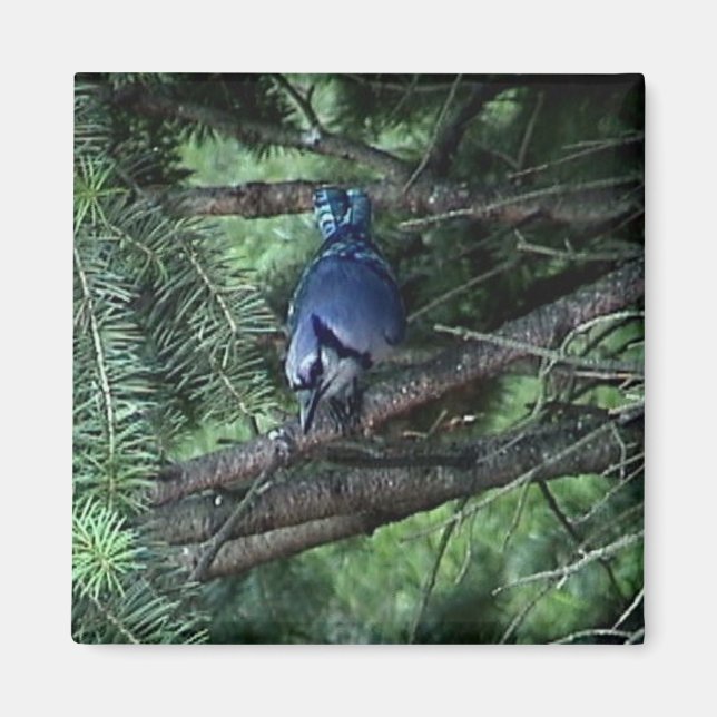 mein Zeug3 013 Magnet (Vorne)