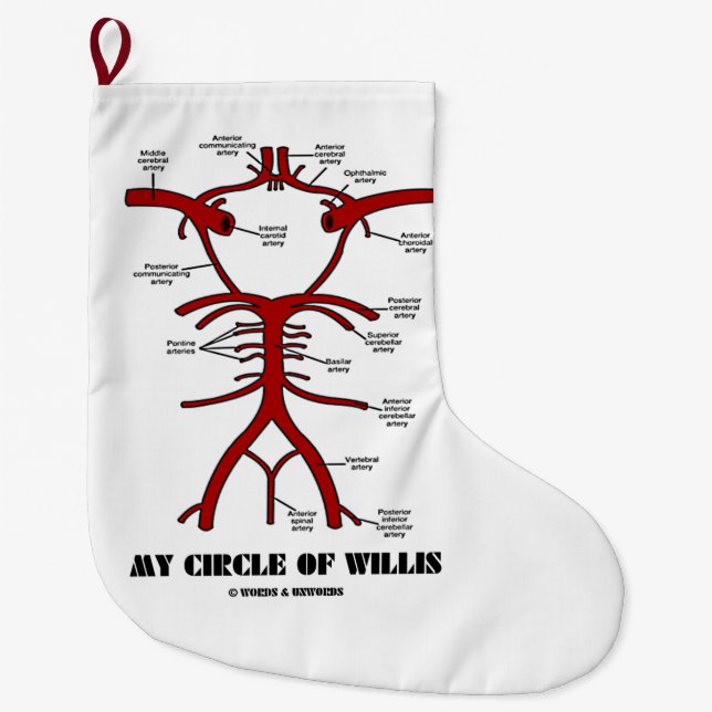 Mein Zirkel der anatomischen Blutzirkulation bei W Großer Weihnachtsstrumpf (Vorderseite)