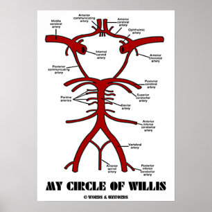 Mein Zirkel von Willis (anatomische Arterien) Poster