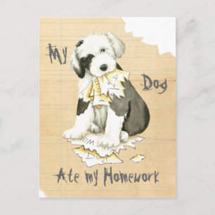 Meine alte englische Sheepdog hat meine Hausaufgab Postkarte
