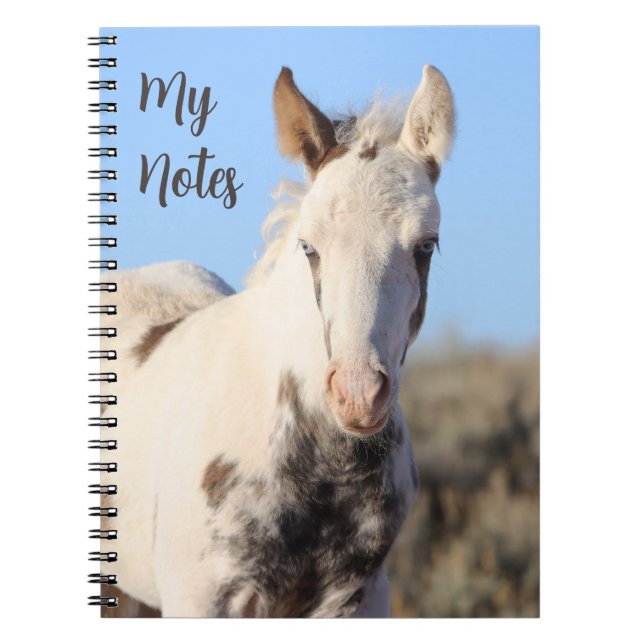 Meine Anmerkungen Wild Horse Thora Notizblock (Vorderseite)