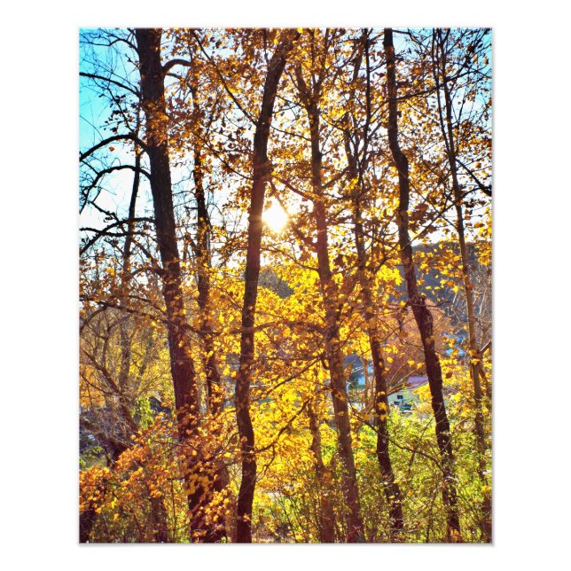 meine Ansicht Fotodruck (Vorne)