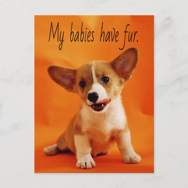 Meine Babys haben Pelzhund, niedliche Welpen, Welp Postkarte (Vorderseite)