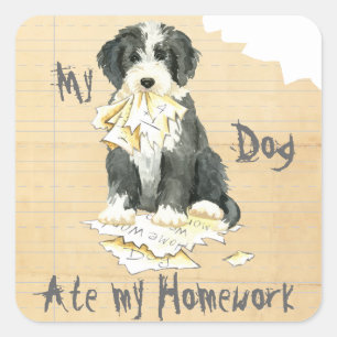 Meine bärtige Collie Ate meine Hausaufgaben Quadratischer Aufkleber