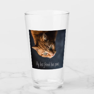 Meine beste Freundin hat Pfoten, Cat Kitten Niedli Glas