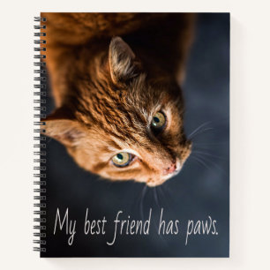 Meine beste Freundin hat Pfoten, Cat Kitten Niedli Notizbuch