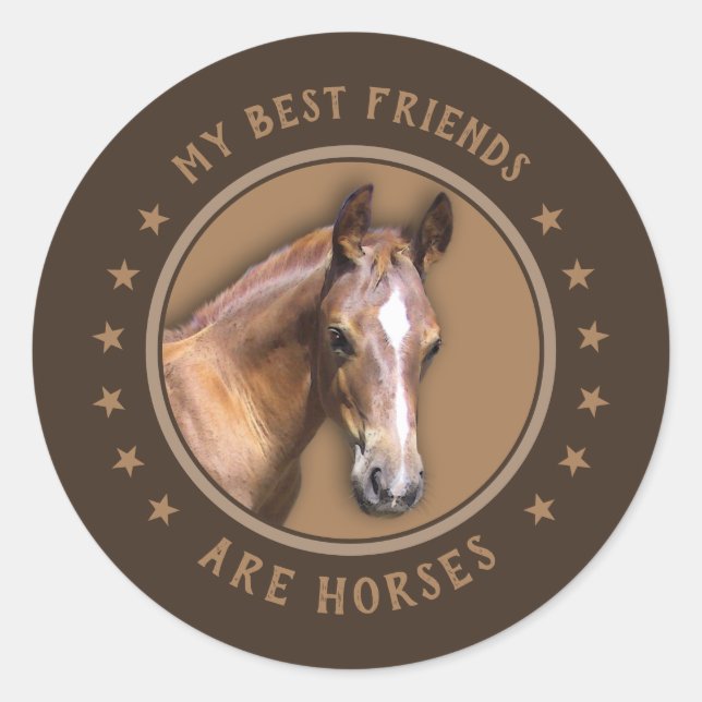 Meine besten Freunde sind Pferde Runder Aufkleber (Vorderseite)