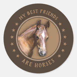 Meine besten Freunde sind Pferde Runder Aufkleber