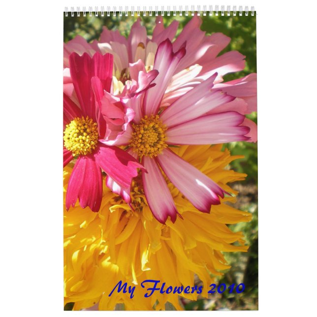 Meine Blume Kalender (Titelbild)