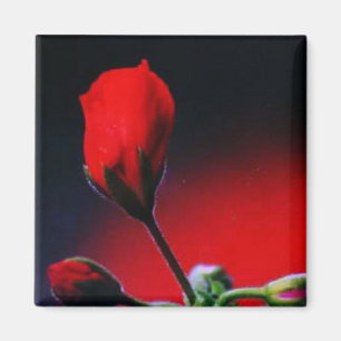 Meine Blume Magnet