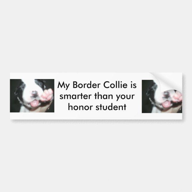 Meine Border-Collie ist intelligenter, als Ihre Autoaufkleber (Vorne)