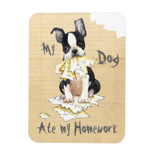 Meine Boston Terrier Ate Meine Hausaufgaben Magnet