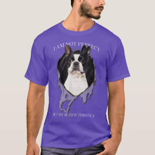 Meine Boston Terrier ist perfekte Hunde  T-Shirt