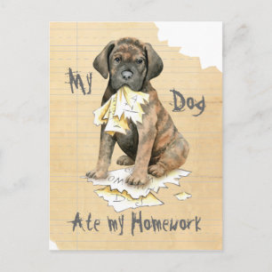 Meine Cane Corso Ate meine Hausaufgaben Postkarte