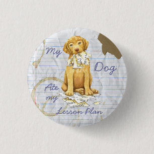 Meine Chessie Ate My Lessingplan Button