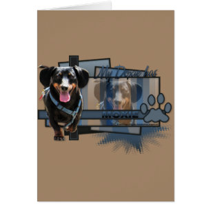 Meine Dackel hat Moxie