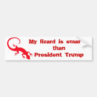 Meine Eidechse ist klüger als Präsident Trump