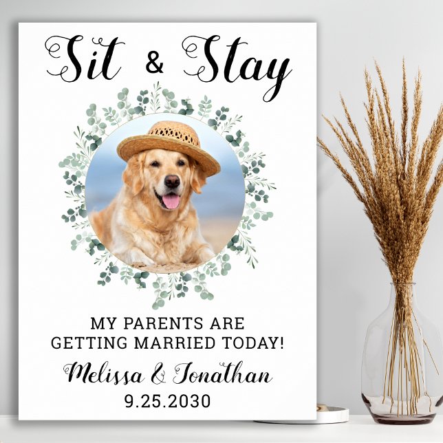 Meine Eltern bekommen eine Hochzeit mit Haustieren Poster (Von Creator hochgeladen)