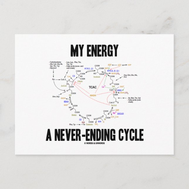 Meine Energie ist ein nie endender Zyklus (Krebs-Z Postkarte (Vorderseite)