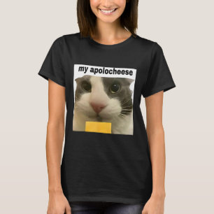 Meine Entschuldigung Lustiges Katzen-Meme Brainrot T-Shirt