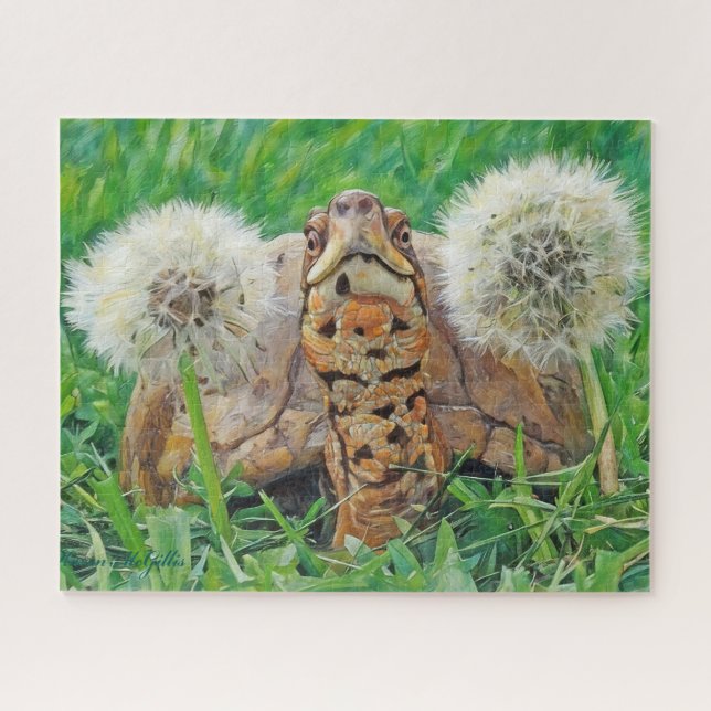 Meine Extravaganten Freunde Box Turtle (Horizontal)