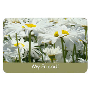 Meine Freundin! Magnete Whtie Daisies Blume Freund