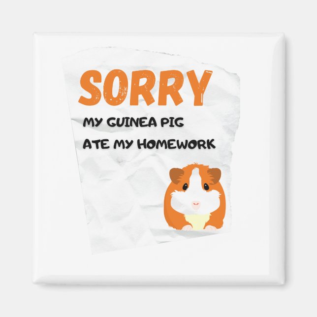 Meine Guinea Schweinchen Ate My Hausaufgaben Class Magnet (Vorne)