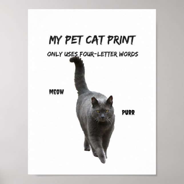 Meine Hauskatze Print Funny Cat T - Shirt 4 Buchst Poster (Vorne)