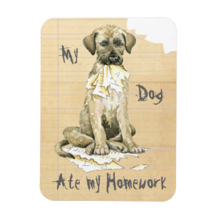 Meine irische Wolfhound Ate meine Hausaufgaben Magnet