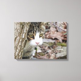 Meine Jagdkatze Leinwanddruck