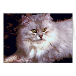 Meine Katze
