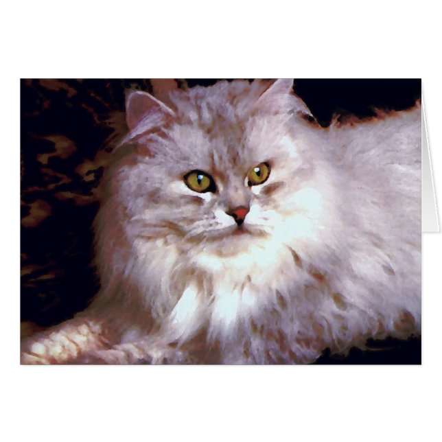 Meine Katze (Vorderseite (Horizontal))