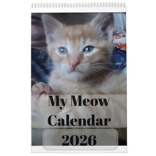 Meine Katze Foto Zitate Anpassen Spaß Kalender