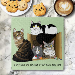 Meine Katze hat Katzen
