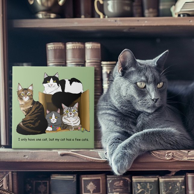 Meine Katze hat Katzen Fliese (Von Creator hochgeladen)