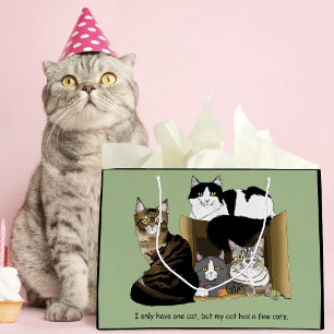 Meine Katze hat Katzen Große Geschenktüte