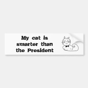 Meine Katze ist intelligenter als der Präsident Autoaufkleber