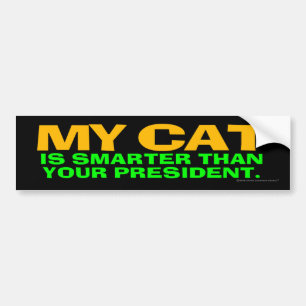 Meine Katze ist intelligenter als Ihr Präsident Autoaufkleber