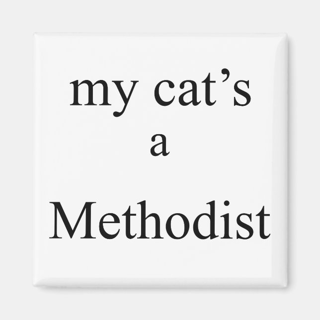 Meine Katze ist Methodist Magnet (Vorne)
