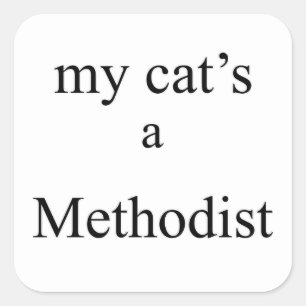 Meine Katze ist Methodist Quadratischer Aufkleber