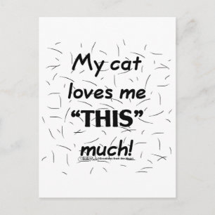 Meine Katze Liebe mir dieses sehr katzenhaar Postkarte