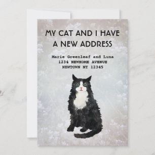 Meine Katze und ich haben die Ankündigung verschob