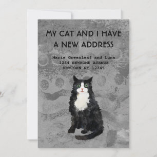 Meine Katze und ich haben die Ankündigung verschob