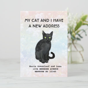 Meine Katze und ich haben die Ankündigung verschob